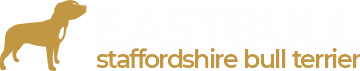 Eastbull_Logo_25_gold
